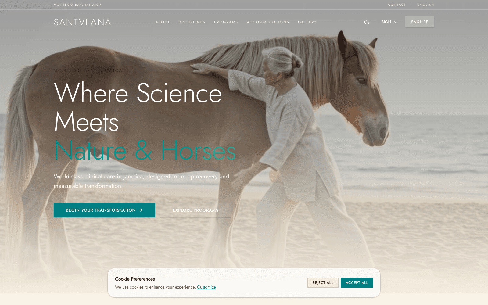 Sanvlana project preview